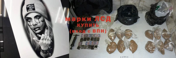 сатива Арсеньев