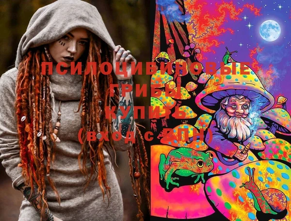 амф Магас