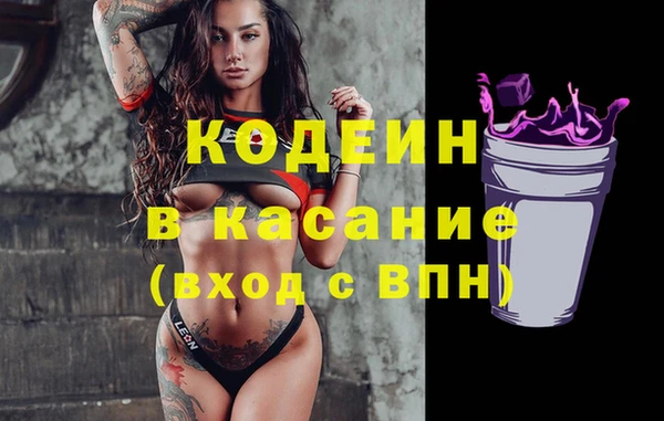сатива Арсеньев