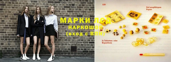 амф Магас
