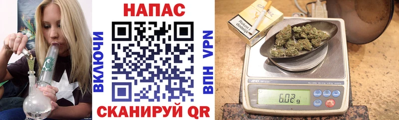 Бошки марихуана конопля  как найти   omg рабочий сайт  Опочка 